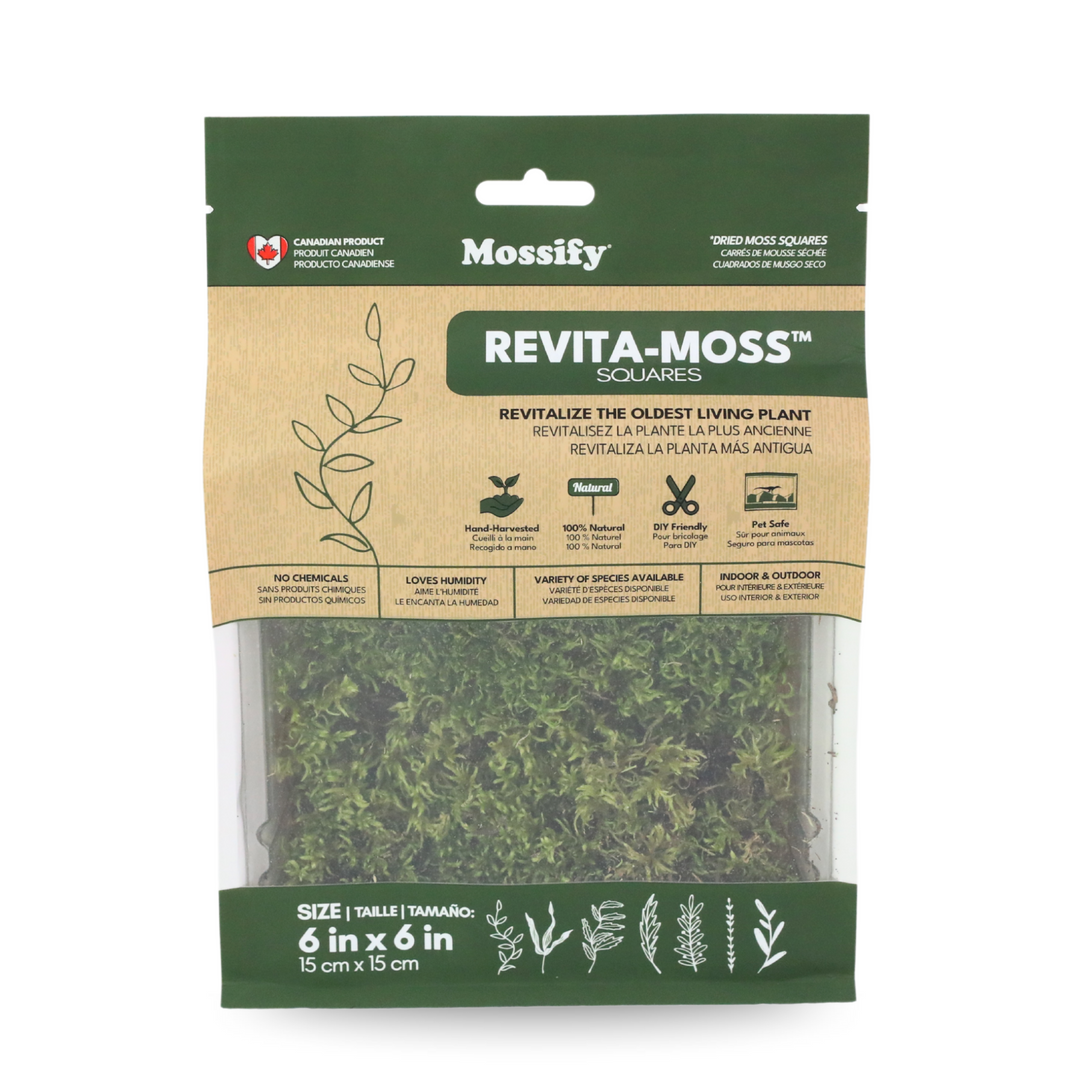 Mossify - Natural Canadian Forest Moss - Revita-Moss (Pleurozium schreberi)
