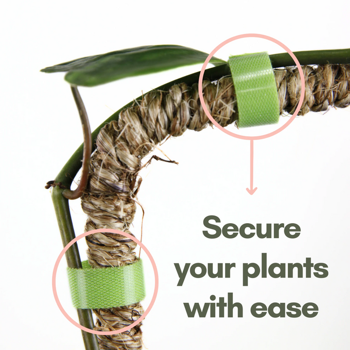 Mossify - Reusable Plant Tape