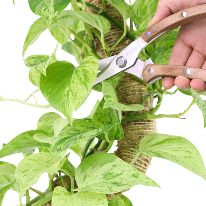 Mossify - Slim Garden Utility Shears