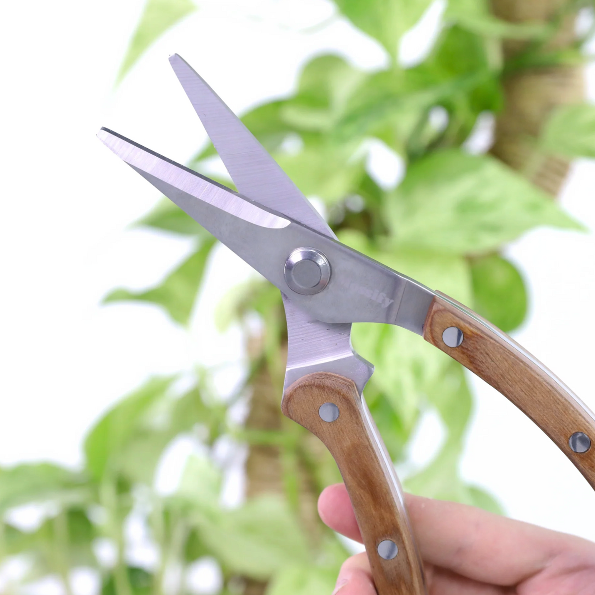Mossify - Slim Garden Utility Shears