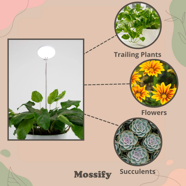 Mossify - Adjustable LED Plant Light