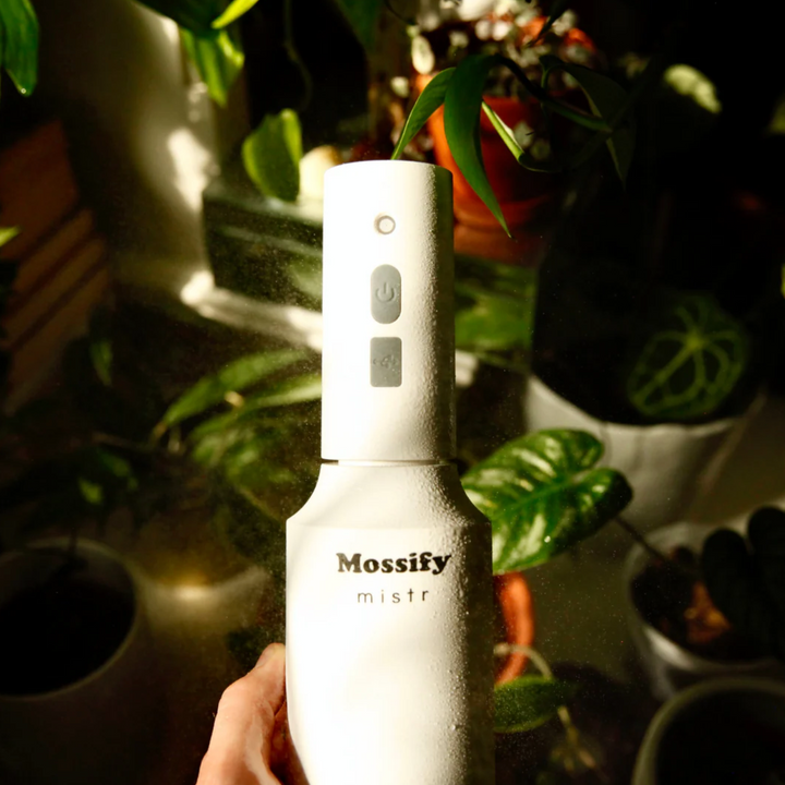 Mossify - The Original Mossify mistr™