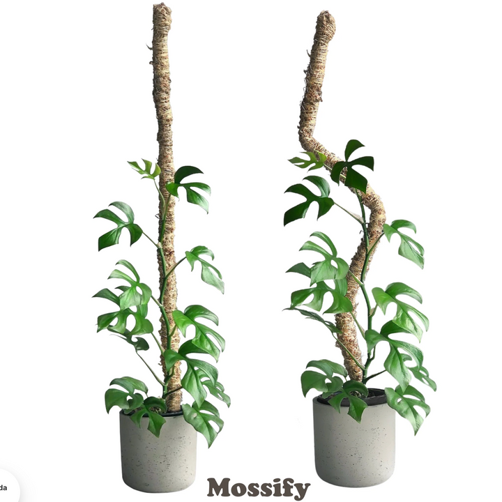 Mossify - The Bendable Moss Pole