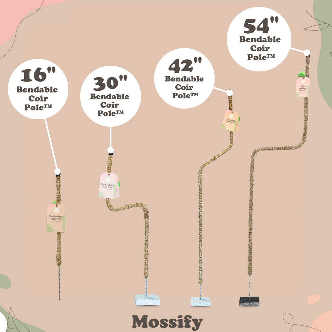 Mossify - The Original Bendable Coir Pole