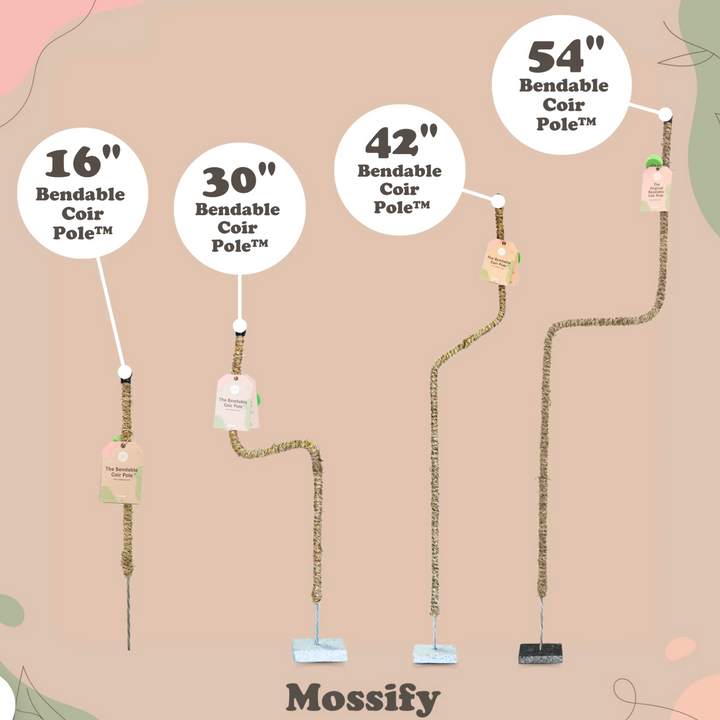 Mossify - The Original Bendable Coir Pole