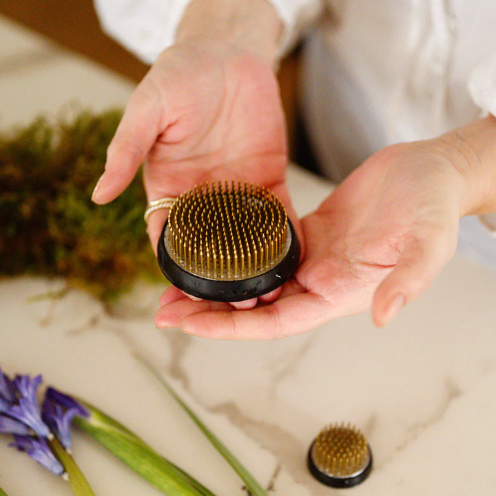 Person holding a small round brush with metallic bristles on a textured surface with plants.