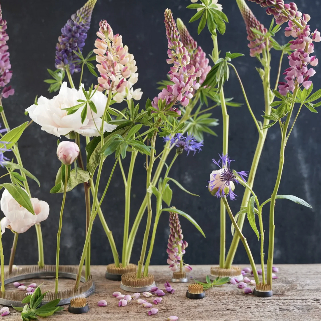 Premium Pin Frog (Kenzan) - 2.5"