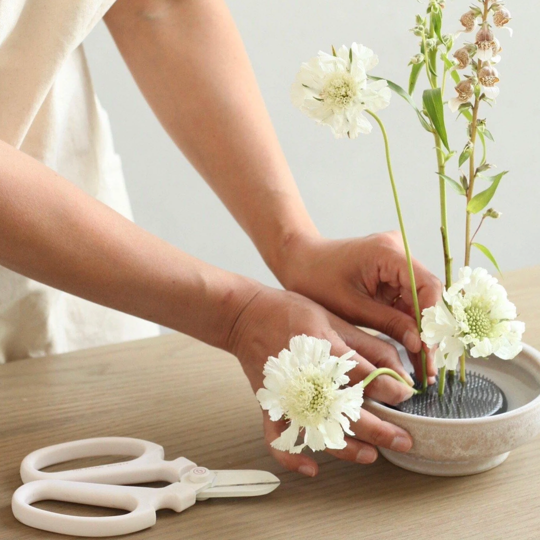 Premium Pin Frog (Kenzan) - 2.5"