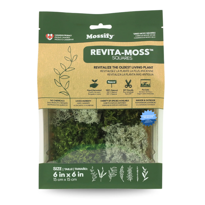 Mossify - Revita-Moss Mixed Pack