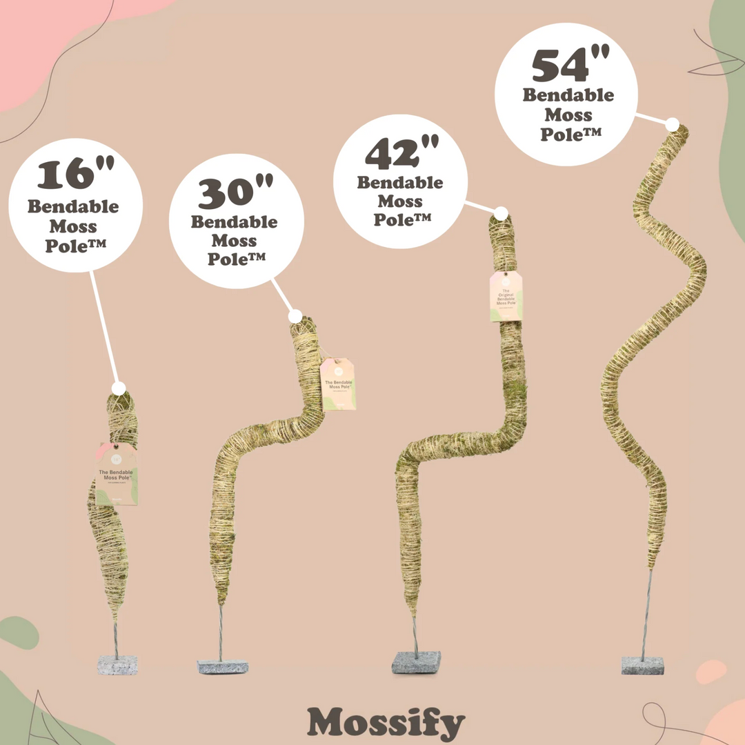 Mossify - The Bendable Moss Pole