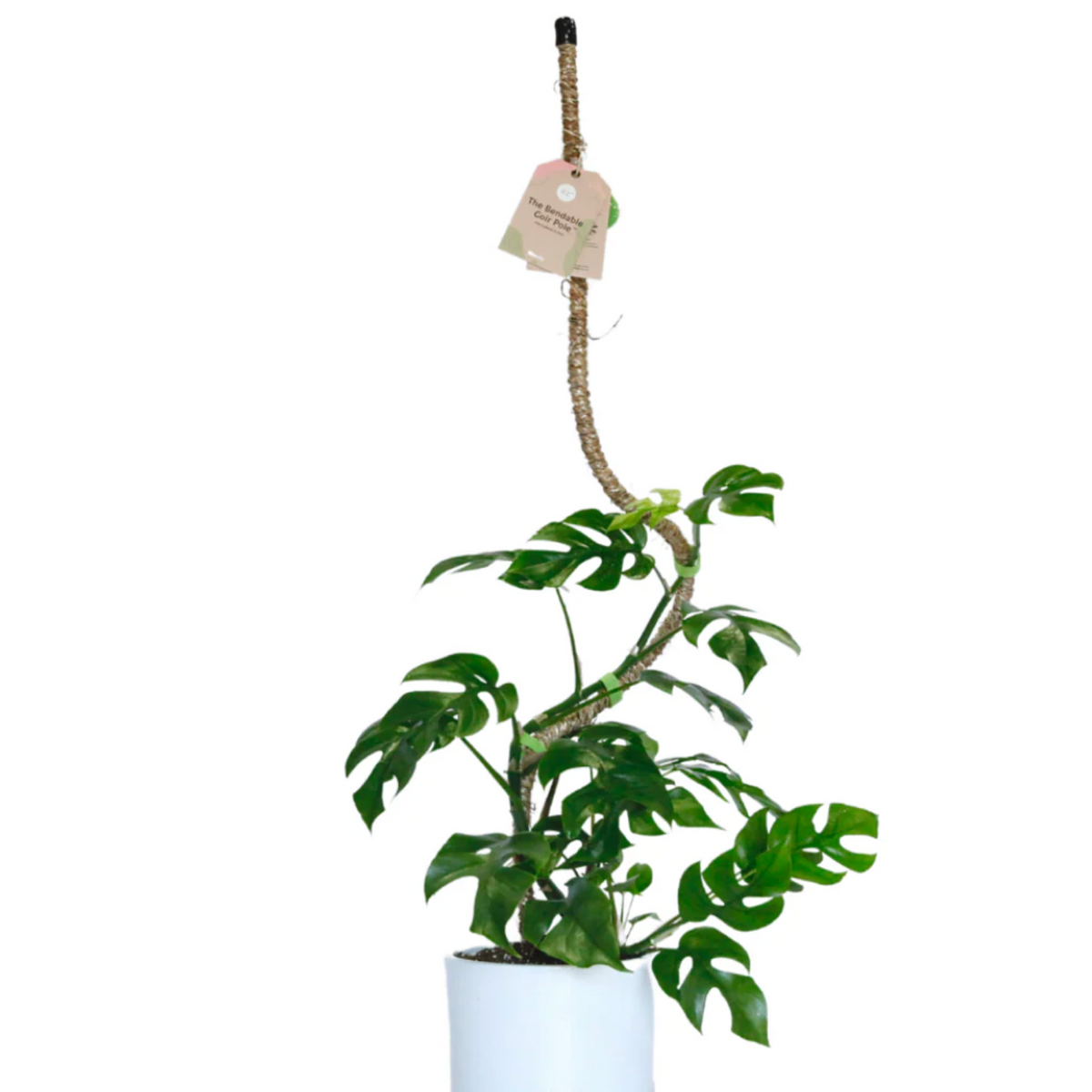 Mossify - The Original Bendable Coir Pole