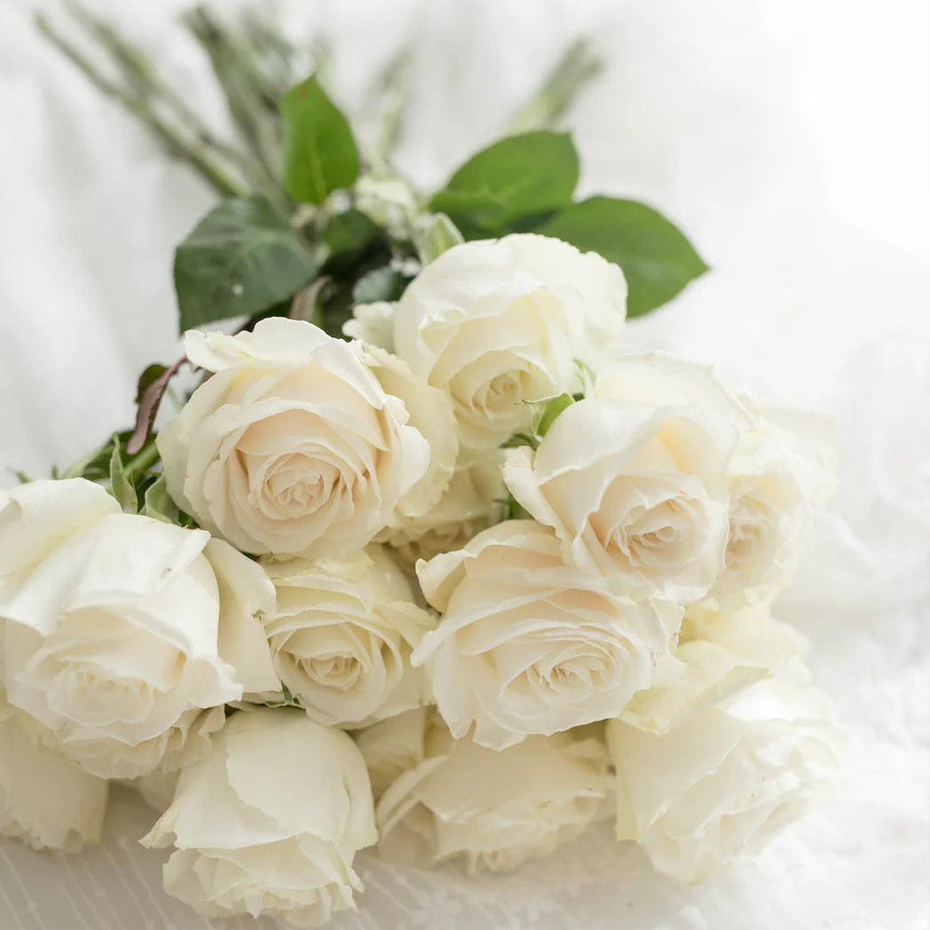 Bouquet of white roses on a light background