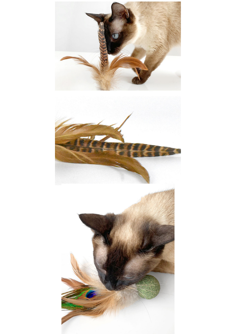 Silvervine//Catnip Birdie: Plume de dinde Silvervine