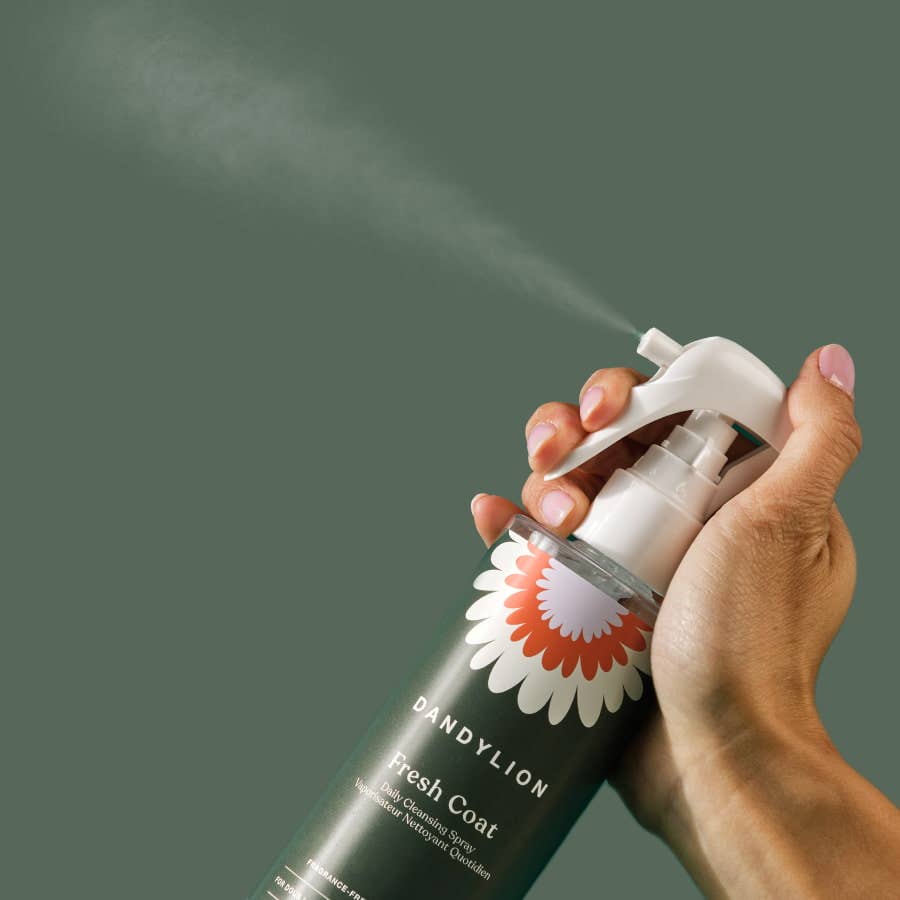Spray nettoyant quotidien Fresh Coat | Shampooing sans rinçage sans eau