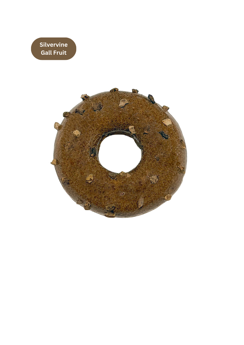 Beignet Silvervine: Citrouille