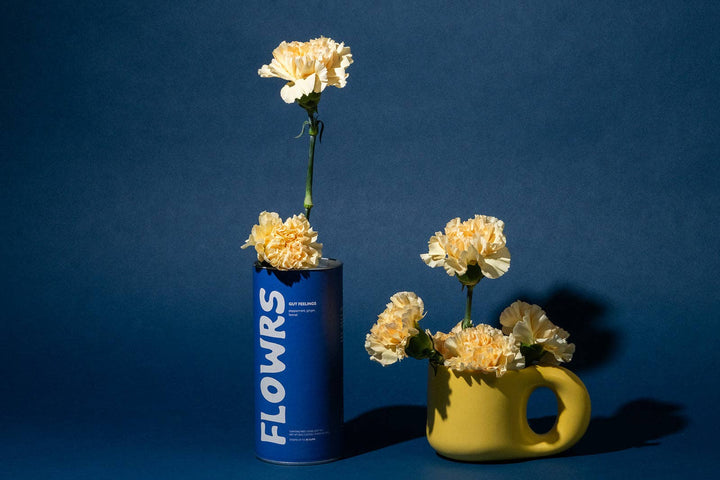 Gut Feelings Tea — Loose Leaf Tea For The Gut