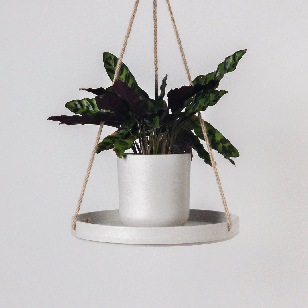 10" Signature Stone Hanging Tray: Gray Stone