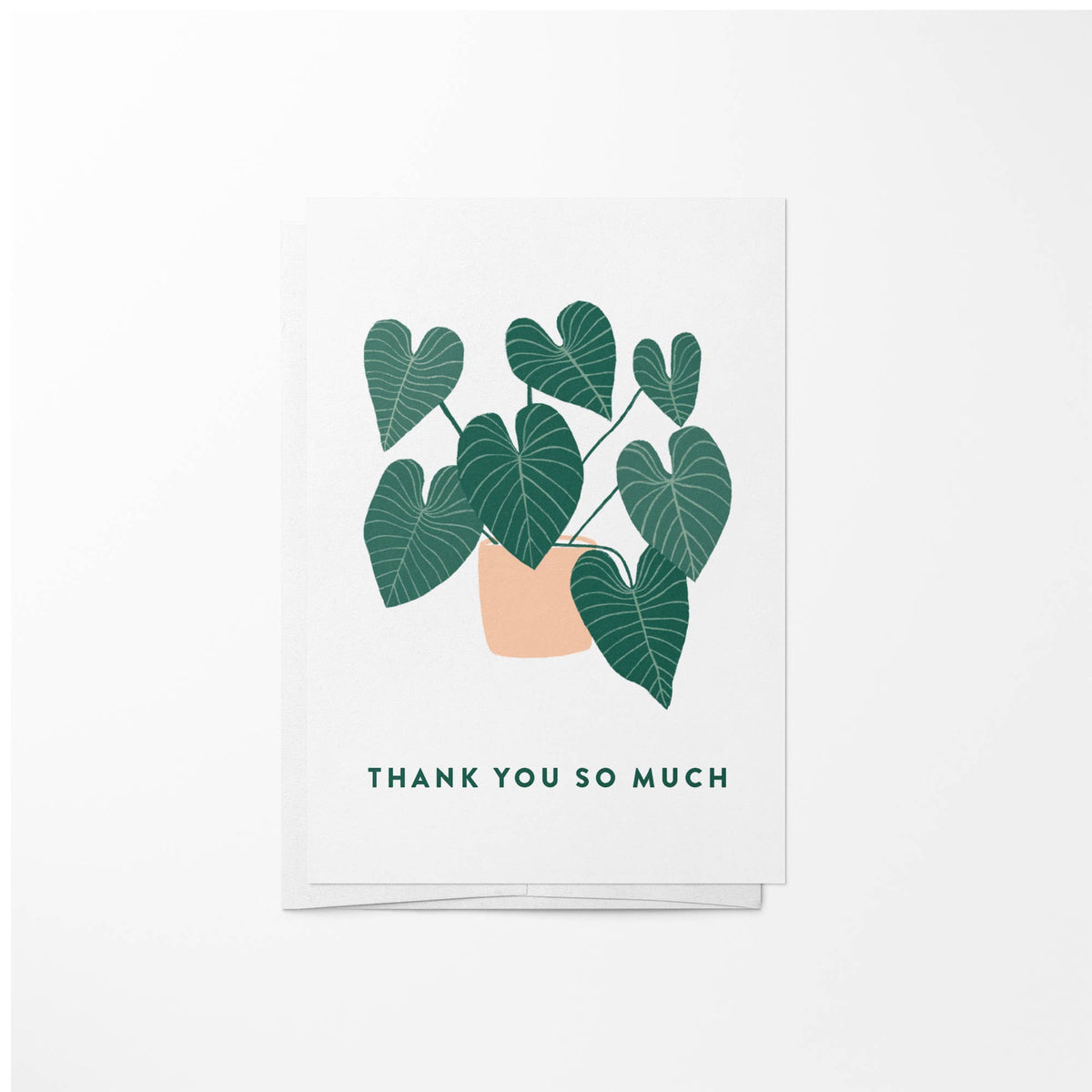 House Plant Thank You Mini Enclosure Card