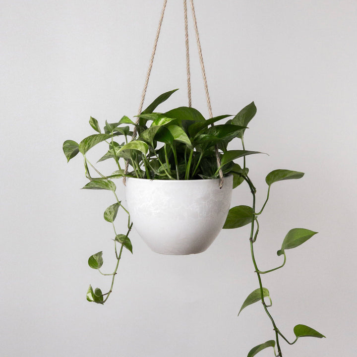 Signature Stone Hanging Planter Pot | 4 Colorways: 8" Muted Coral Planter