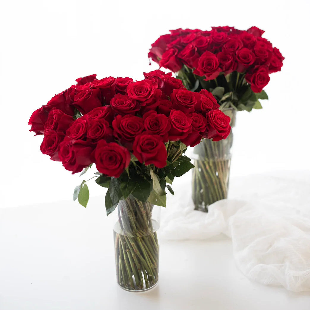 Two vases filled with red roses on a white surface