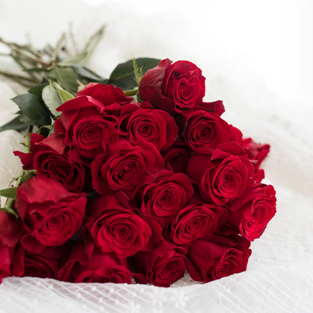 Bouquet of red roses on a white background