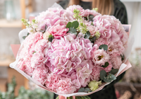 Premium Carnations Bouquet