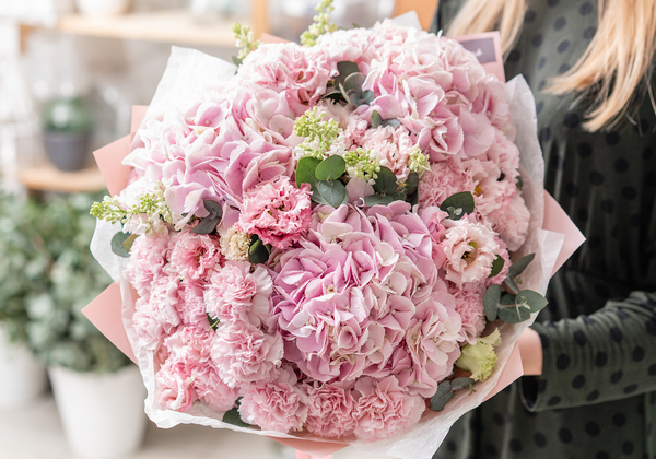 Premium Carnations Bouquet