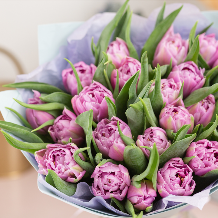 Bouquet of pink tulips wrapped in paper on a blurred background