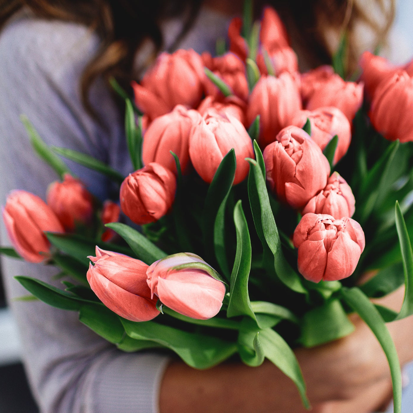 Person holding a bouquet of pink tulips with a blurred background
