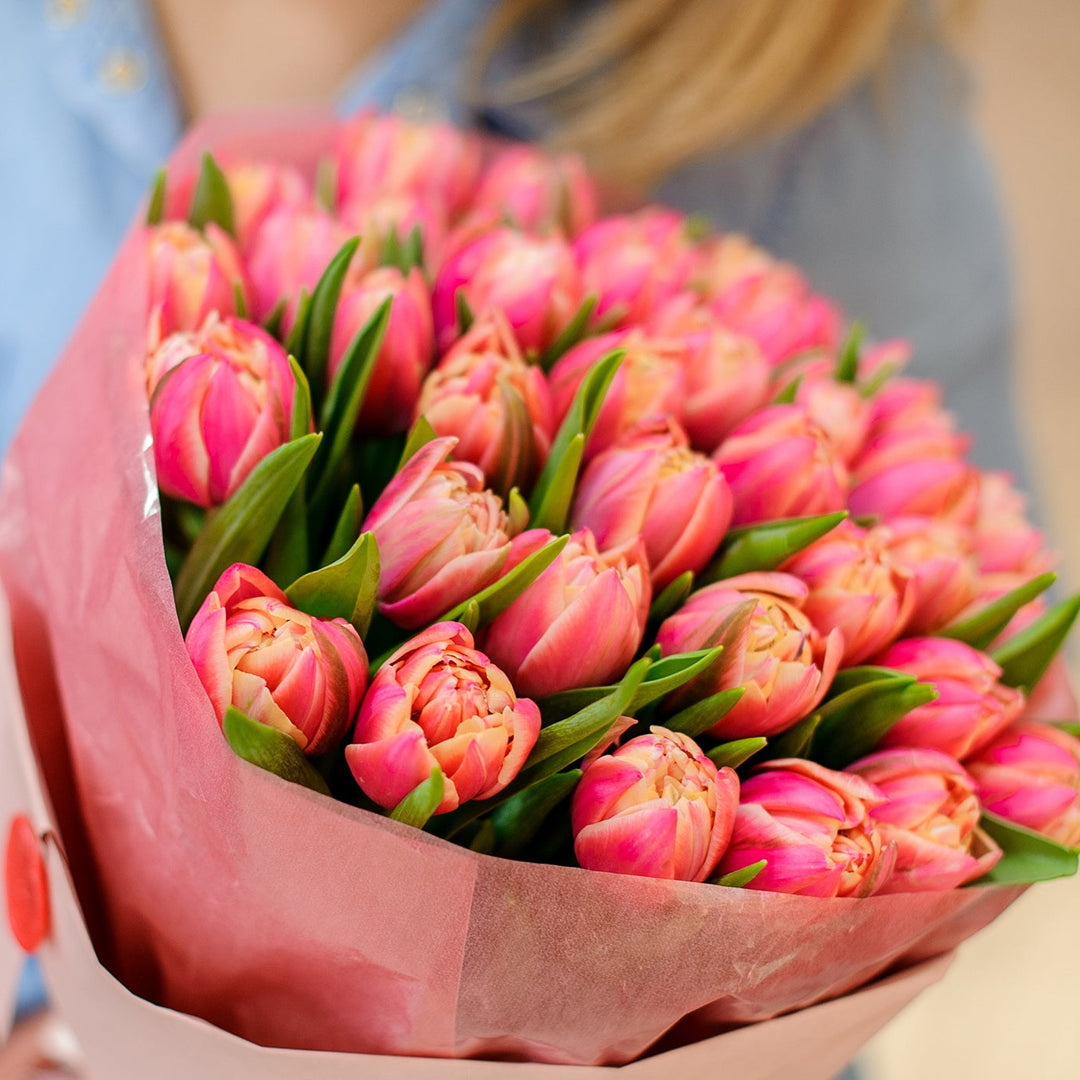 Bouquet de tulipes fraîches
