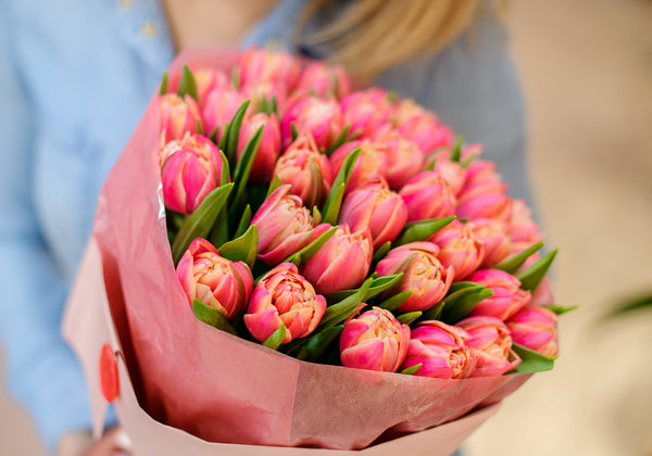 Bouquet de tulipes fraîches